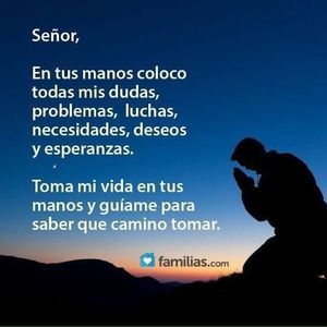 Meet your Posher, Henry